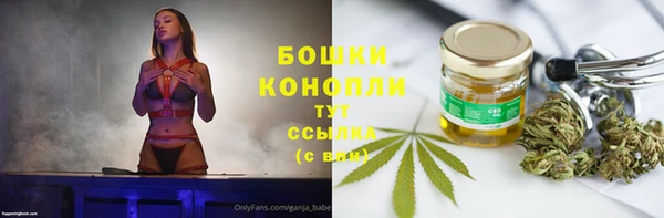 ГАЛЛЮЦИНОГЕННЫЕ ГРИБЫ Грязовец