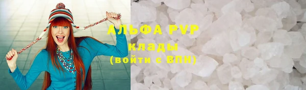 ПСИЛОЦИБИНОВЫЕ ГРИБЫ Краснослободск